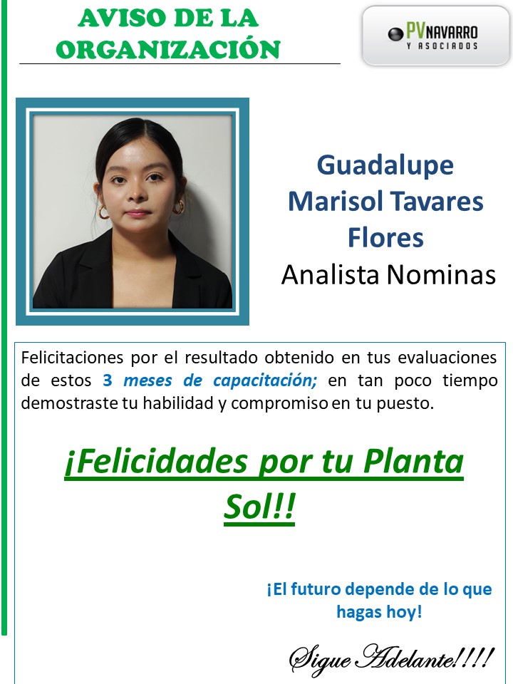 Planta Sol.jpg